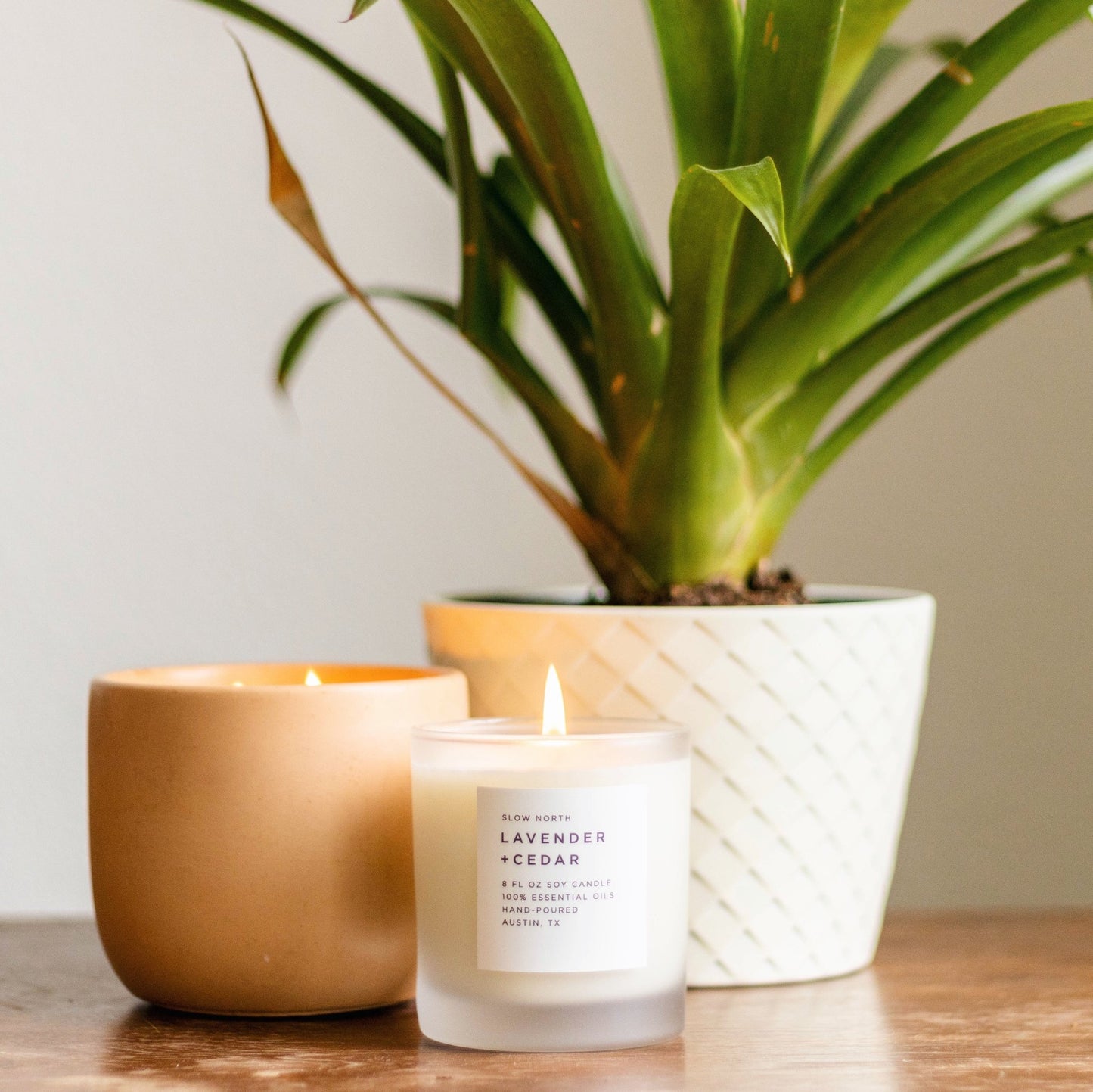 Lavender + Cedar - Signature Candle - LazyComfort