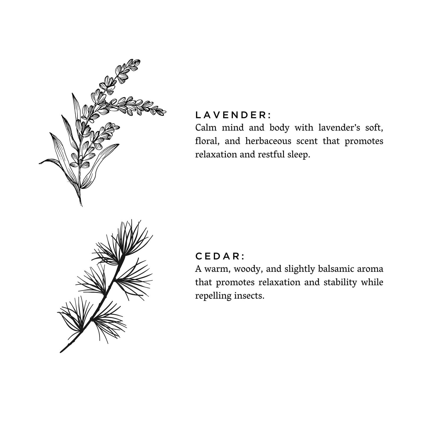 Lavender + Cedar - Signature Candle - LazyComfort