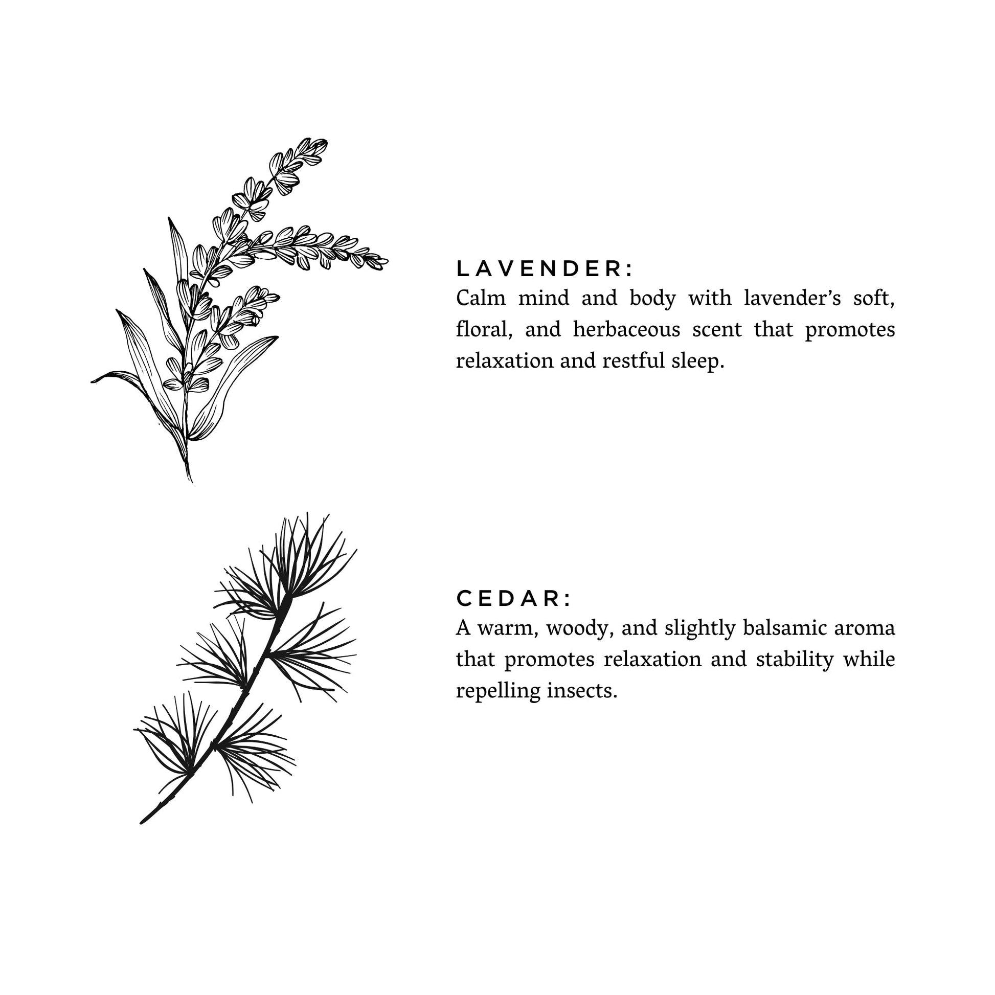Lavender + Cedar - Signature Candle - LazyComfort