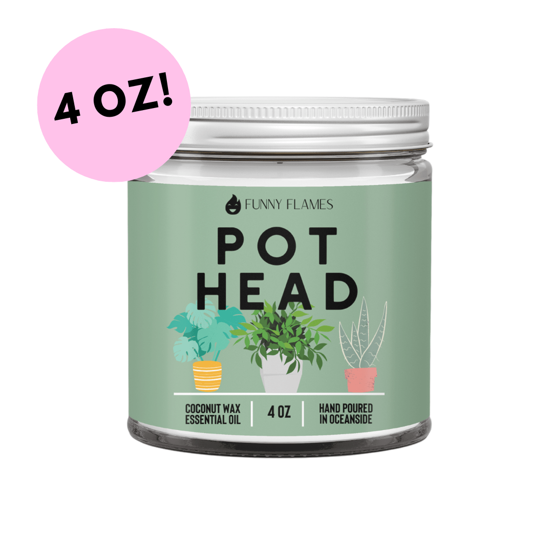 Pot Head - LazyComfort