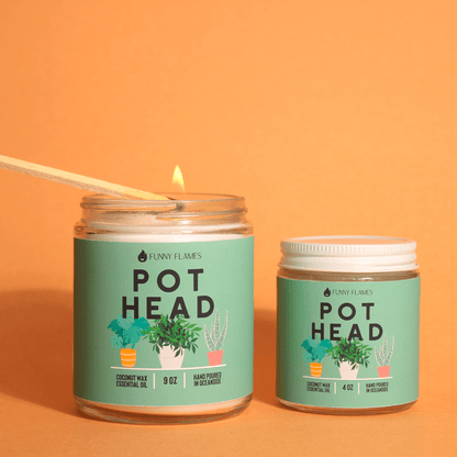 Pot Head - LazyComfort